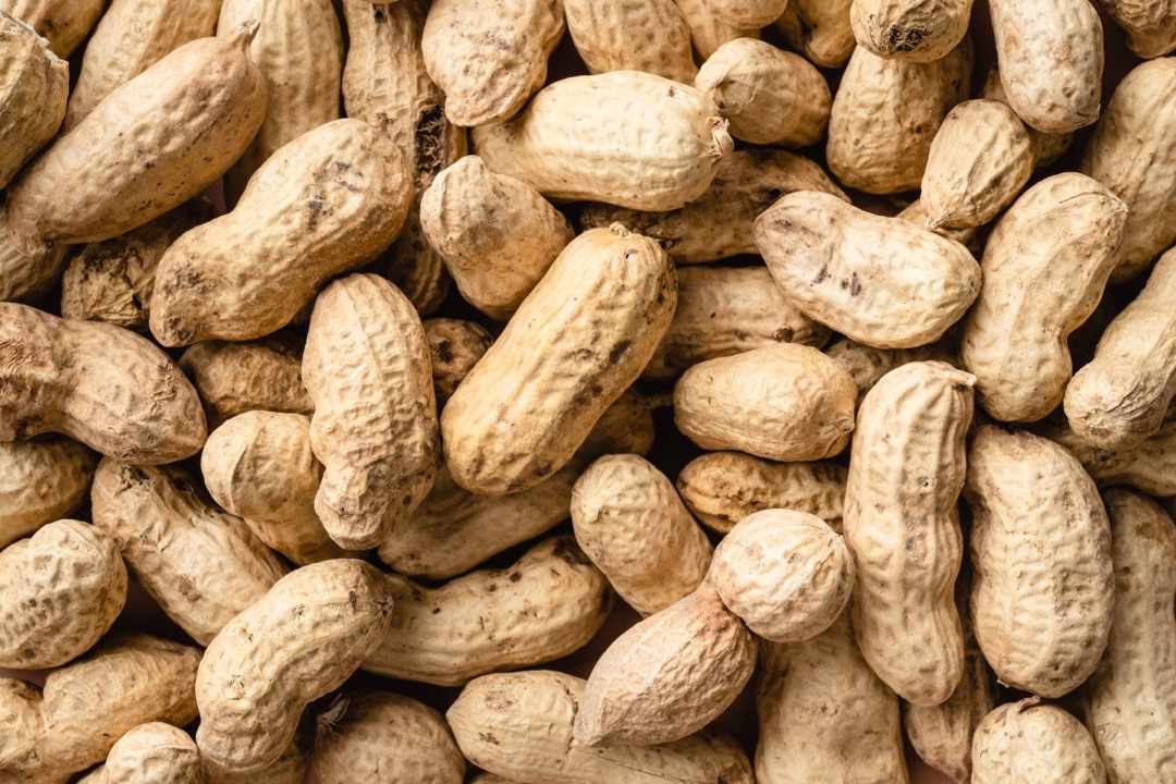 Groundnuts sourced by WARC in Ghana and Sierra Leone