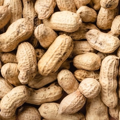 Groundnuts