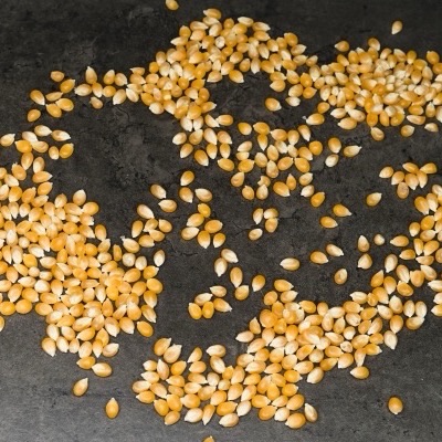 Maize