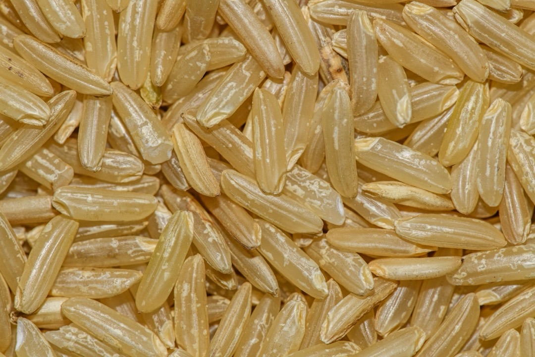 Rice sourced by WARC in Sierra Leone and Ghana