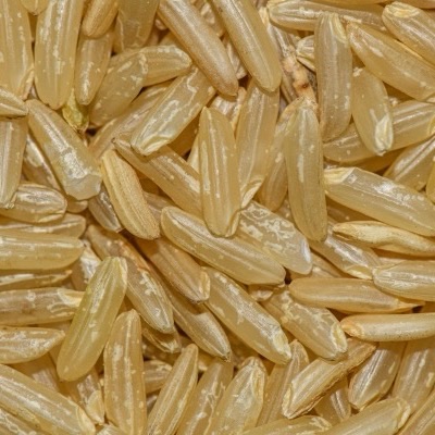 Rice