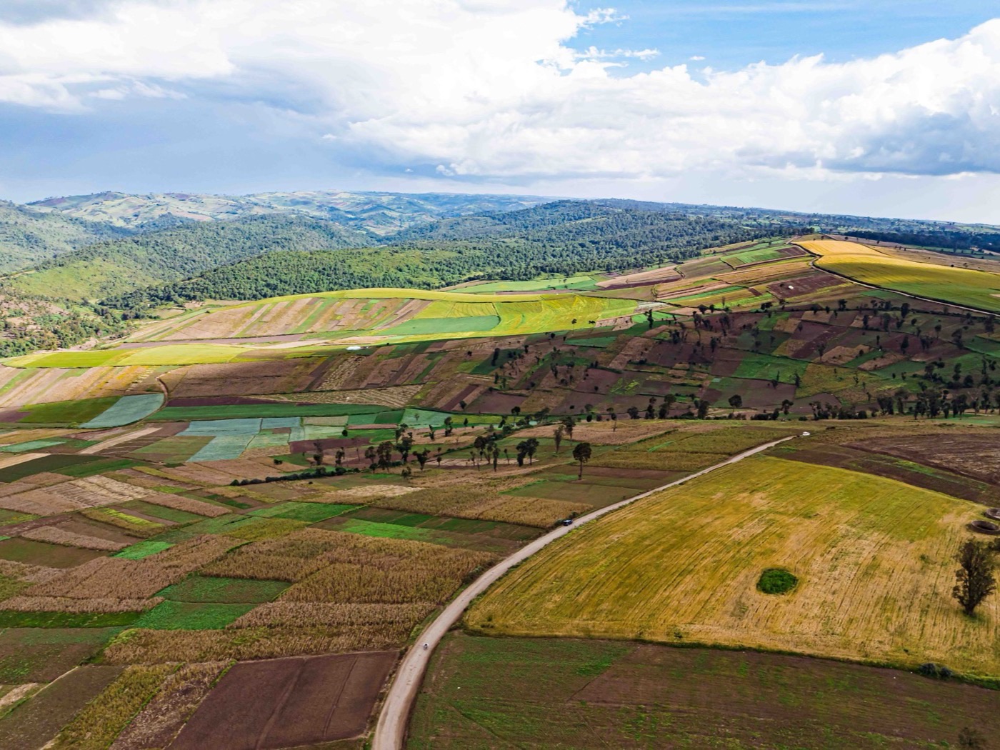 Aerial view of a patchwork of smallholder farm fields in West Africa