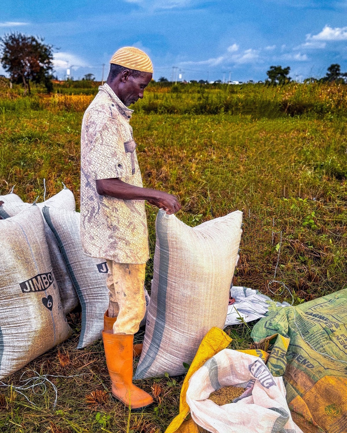A farmer receiving inputs and mechanization services at a WARC Trading Hub
