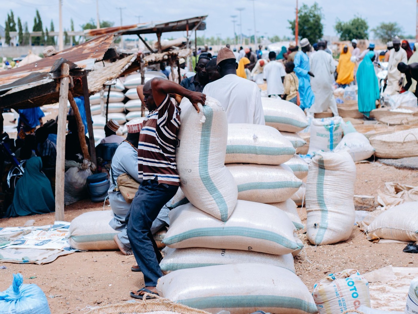 Maize aggregation at WARC's Tumu Trading Hub in Upper West Ghana