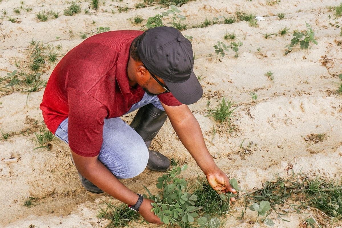 Designing a regenerative agronomy programme at scale — Northern Ghana